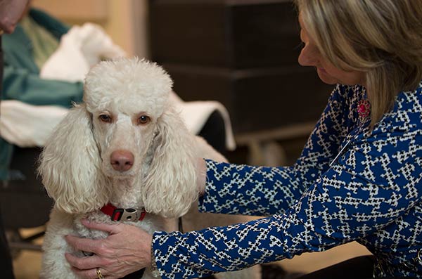 Patient With Pet Dog